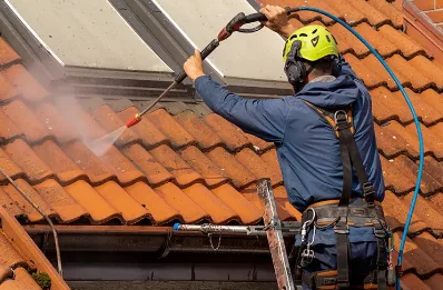 Démoussage et hydrofuge de toiture à Journet